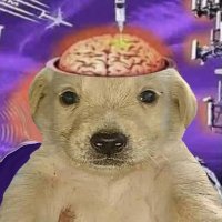 arnon (@_arnon) 's Twitter Profile