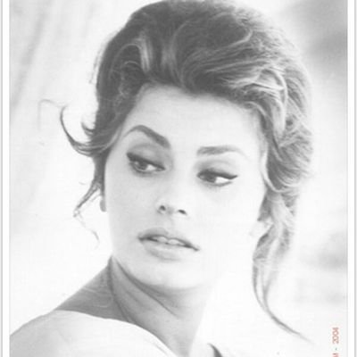 Sheikha29319933's profile picture. ‏‏‏‏‏طبيبه وتغريداتي ليس لها علاقه  بمهنتي‏‏1 ديسمبر        ‏