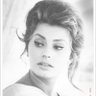 Sheikha29319933's profile picture. ‏‏‏‏‏طبيبه وتغريداتي ليس لها علاقه  بمهنتي‏‏1 ديسمبر        ‏
