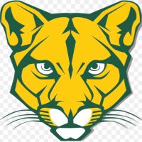 Carlynton Football Team (@carlyntonfb) 's Twitter Profile