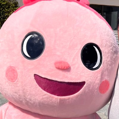 OKInagayan's profile picture. 東風平→南風原→沖縄大学→某放送局→某航空会社→沖縄のどこか