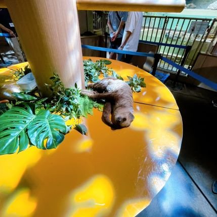 nyamo16's profile picture. 推しにあうために仕方なく働いています🥺
最低労働！最低賃金！✊😆
児童は世界を救う😌🌸💓#ぴのちゃんず