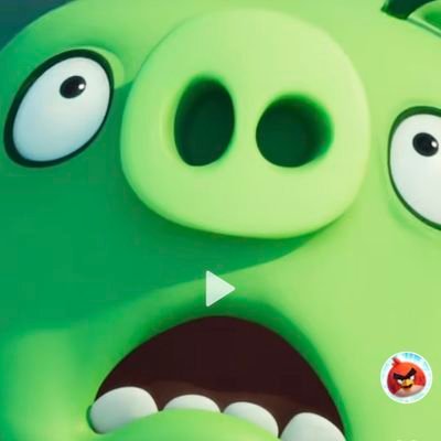 Websta98876646's profile picture. chubby guy from Ontario