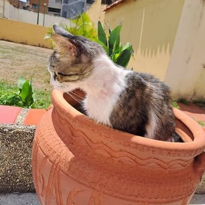 njusshhh's profile picture. 