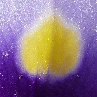 marcnagual's profile picture. Trabajador de la Ciencia