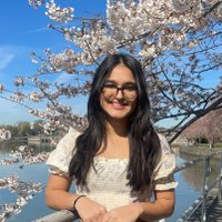 Chitrali | チトラリ (@chitrali_jp) 's Twitter Profile
