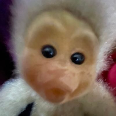 Vp66600's profile picture. kukkuuu