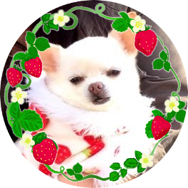 🌗リリー🍉さんのプロフィール画像