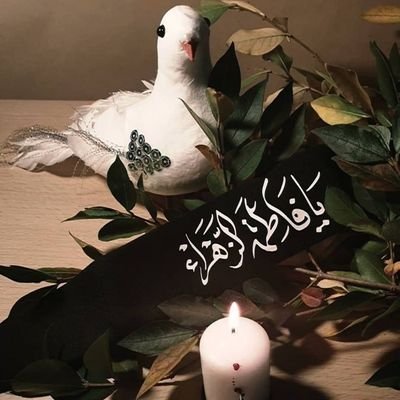 roozemm's profile picture. لن تضيع طفلة كان خطاها على خطى أبيها ... حتى ولو تعثرت ستقف ولو انهارت ستجمع قواها لتجعل من حزنها ردا جميلا لفرح آت.