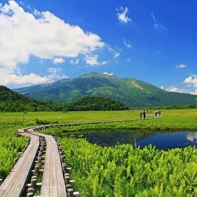 日々の雑感／読書／立夏の生まれ／余白を大事にしたいです