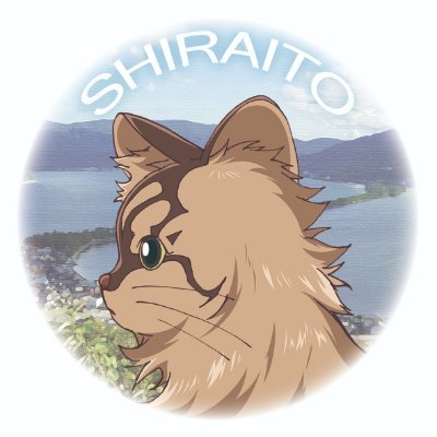 shiraitoshuzo Profile Picture