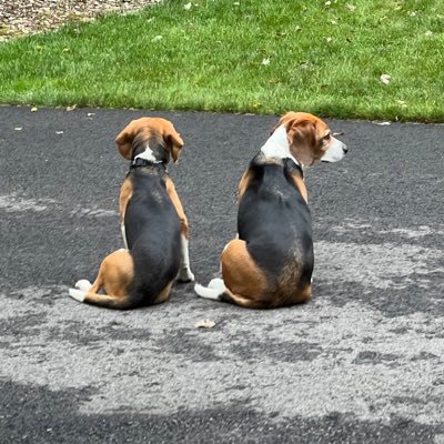 DonkeiAss's profile picture. 