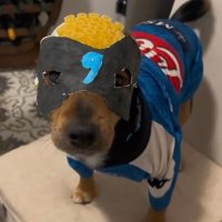 Tinkii (@tinkiihimself) 's Twitter Profile