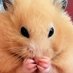 Hamster Malvado (@LilithMoonless) Twitter profile photo