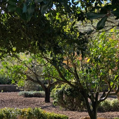 valerie173m's profile picture. Living in the most amazing country with lots of Love and Laughter & fabulous food.