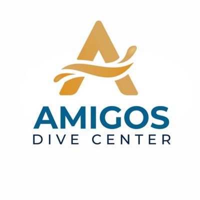 A scuba diving center/shop located in Moalboal Cebu ,Philippines . We offer discovery scuba diving , scuba fun diving, and courses. @diveamigos on IG