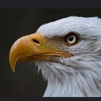 Hendro Ziddane (@hendziddane) 's Twitter Profile Photo