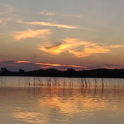 cross74_kayla's profile picture. 