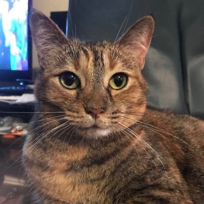 TisaRye's profile picture. 