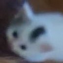 edgar allen hoe - @lyddd - Twitter