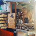 白髪@ (@moriyamayasuoh) Twitter profile photo 白髪@ (@moriyamayasuoh) Twitter profile photo