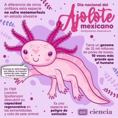 OrtegaCop's profile picture. 