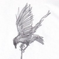 初瀬博輝 (@hirokihatsuse) 's Twitter Profile