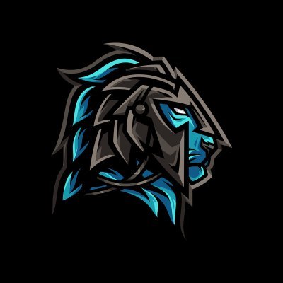The Texas Lions is a competitive home school basketball program throughout Greater Austin featuring both boys and girls teams ranging from 10U to 18U.