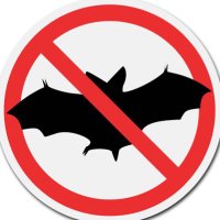 OGKuku #NoGreeForAnybody (@ogkuku2) 's Twitter Profile Photo OGKuku #NoGreeForAnybody (@ogkuku2) 's Twitter Profile Photo