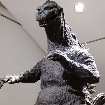 DATEzen_ANN9D's profile picture. 特撮好きです
趣味でロードバイク乗ってます。