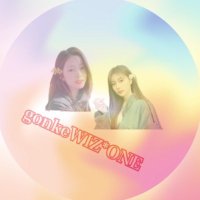 ごんけ🐸🐨ミンジュ党カン事長(@gonkeWIZONE) 's Twitter Profile Photo