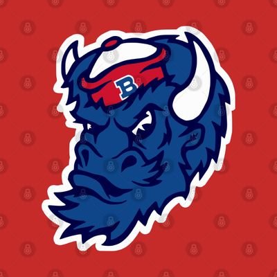 Buffalo 🦬, NY Native. Member of the Bills Mafia since 1987. Buffalo Bills Football 🏈 card collector. Bills Cheerleader Fan.