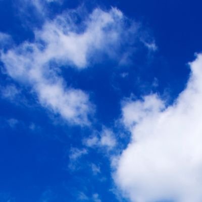 woll1234abx's profile picture. 壁打ち