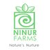 NINUR FARMS (@NinurFarms) Twitter profile photo