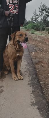 _kijana_mtoxic's profile picture. Ujinga,thats my best friend😂