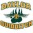 BaylorQuidditch's profile image