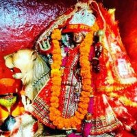 purngiri maa (@vishugupta2001) 's Twitter Profile