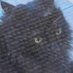 huh (@_taeluvr) Twitter profile photo huh (@_taeluvr) Twitter profile photo