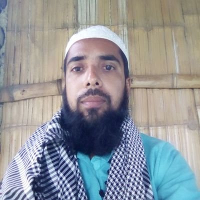 abdulalimansar Profile Picture