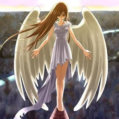 Toca's profile picture. Boop!