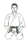 Olá.... Sou fisioterapeuta e atuo na área de esportes,  cardio-respiratória e como Instrutor de Hapkido.
