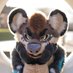 Kawa 🇮🇹 🔜 FURIZON 🔜 MEGAPLEX? (@kawa_the_yeen) Twitter profile photo Kawa 🇮🇹 🔜 FURIZON 🔜 MEGAPLEX? (@kawa_the_yeen) Twitter profile photo