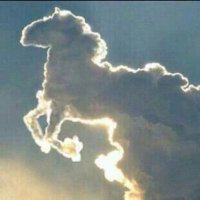 جــار الــنــبــي (@nayf36482387) 's Twitter Profile Photo جــار الــنــبــي (@nayf36482387) 's Twitter Profile Photo