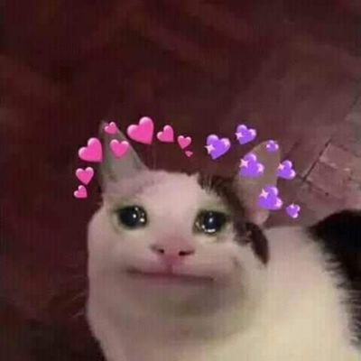 Hillary86808300's profile picture. 