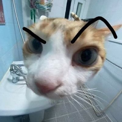 ew