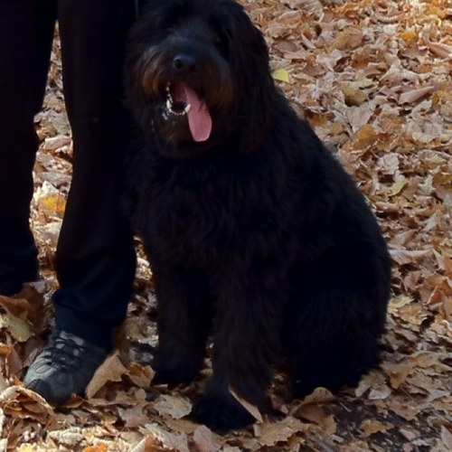 GoodwineTidbits's profile picture. educator, busy mom, and wife