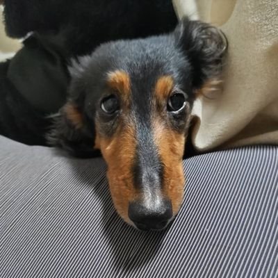 mimy_0723_0214's profile picture. 