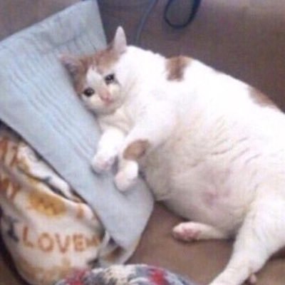 6babyshark6's profile picture. 성인 | 구독계 | 행복한 일 가득하시길 바랍니다 구독만 할게요..