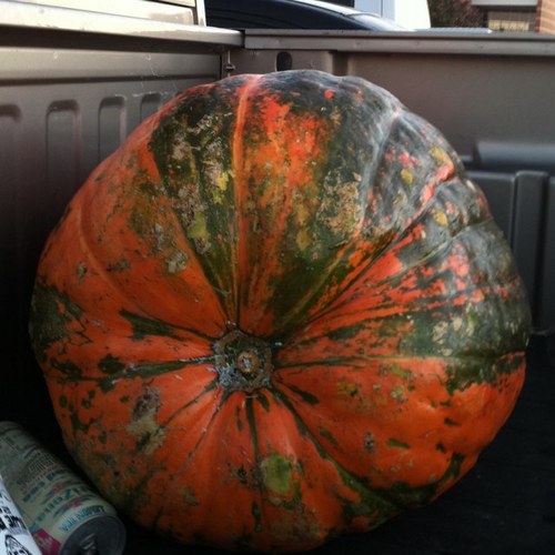 blakewalker3's profile picture. 22 years old. Valdosta State University. Alumnus of Tifft County High School, follower of Jesus