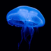 . (@wnrdjqjfu0) Twitter profile photo . (@wnrdjqjfu0) Twitter profile photo